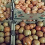продаем помидоры из Украины