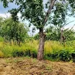 Дом аг. Красное ул. 12 Апреля