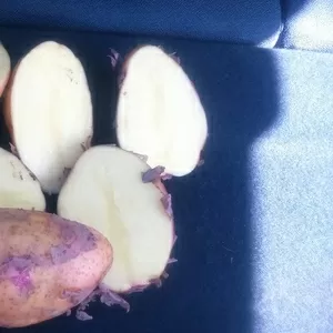 Картофель оптом из Беларуси