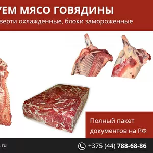 Мясо говядины. Полный пакет документов на РФ.