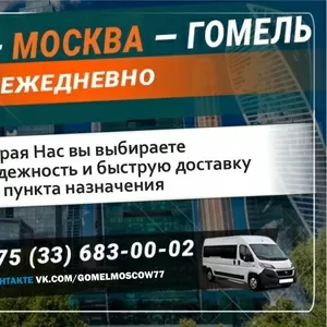 Пассажирские перевозки Москва-Гомель-Москва. 