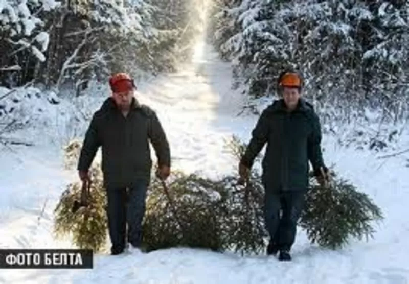 Требуются рабочие на деревообрабатывающее предприятие в России. 2
