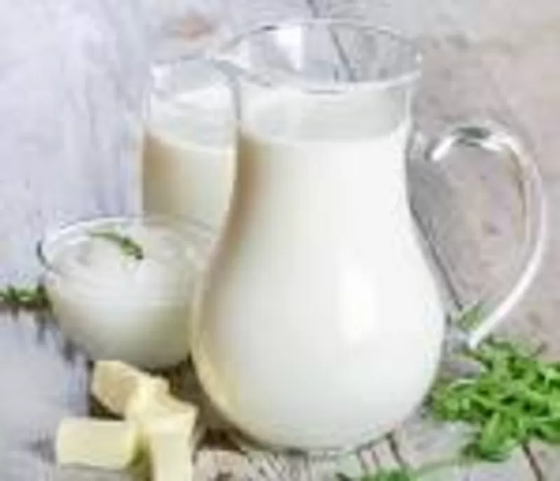 молоко козье и молочные продукты из козьего молока