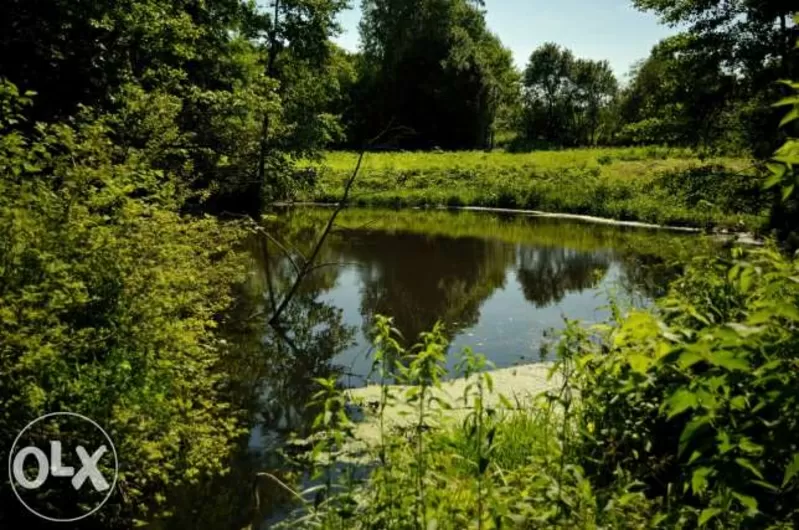Шикарное место для тех кто хочет уединиться с природой Агроусадьба Бобров ручей 5